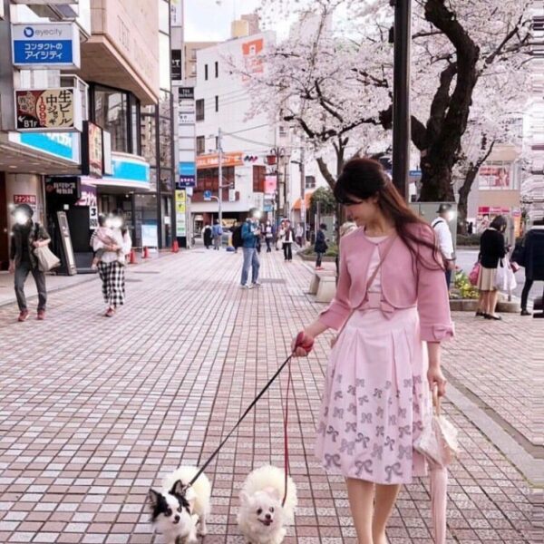 ♡桜♪わんわん散歩♡